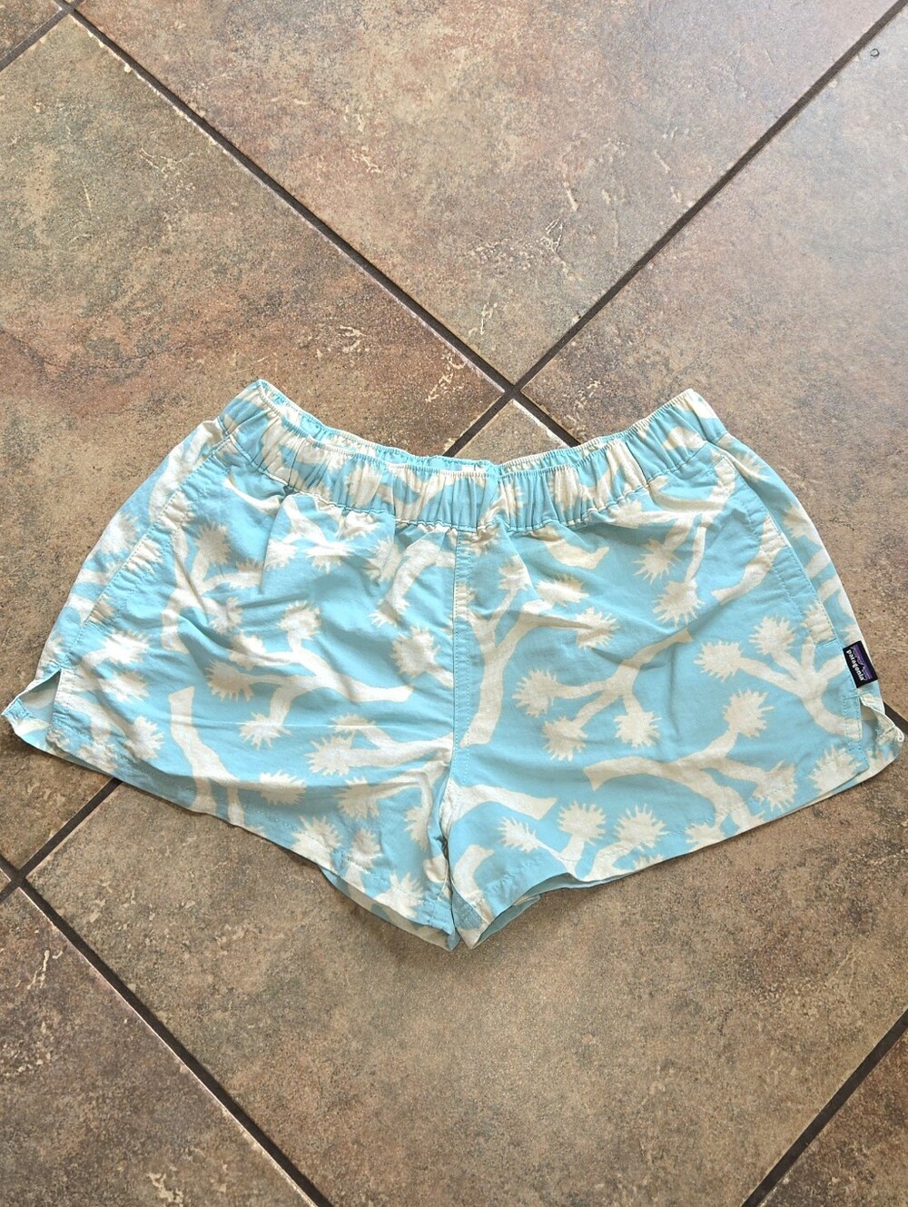 Patagonia Baggies Shorts Blue Joshua Tree Print XS